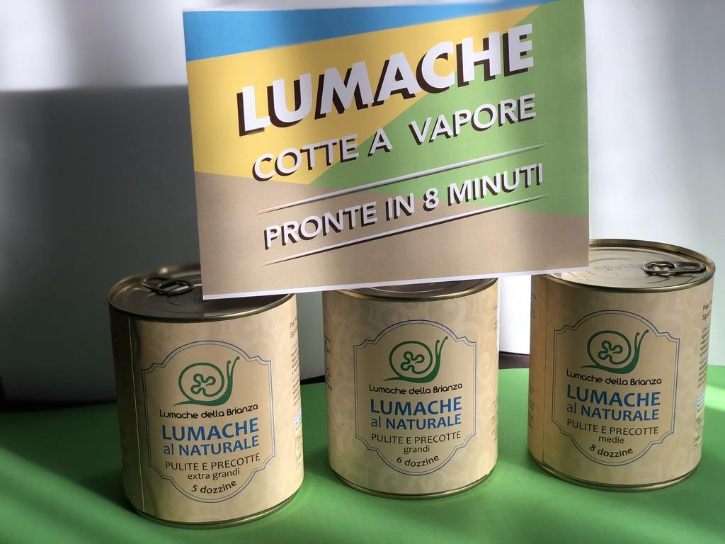 Lumache della Brianza: Gusto Autentico e Benessere Naturale | Lumache Vive, Prodotti Precotti e Bava di Lumaca