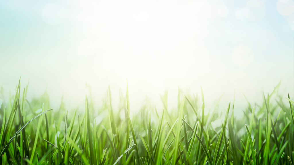 banner_image