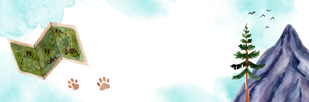 banner_image