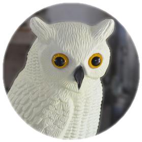 Nervous Squirrel eurorack modules