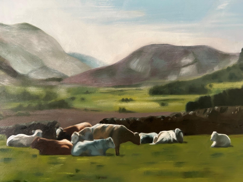 Keswick Cows in the Evening Sun