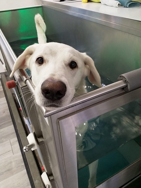 Onlineshop für Videos und Webinare