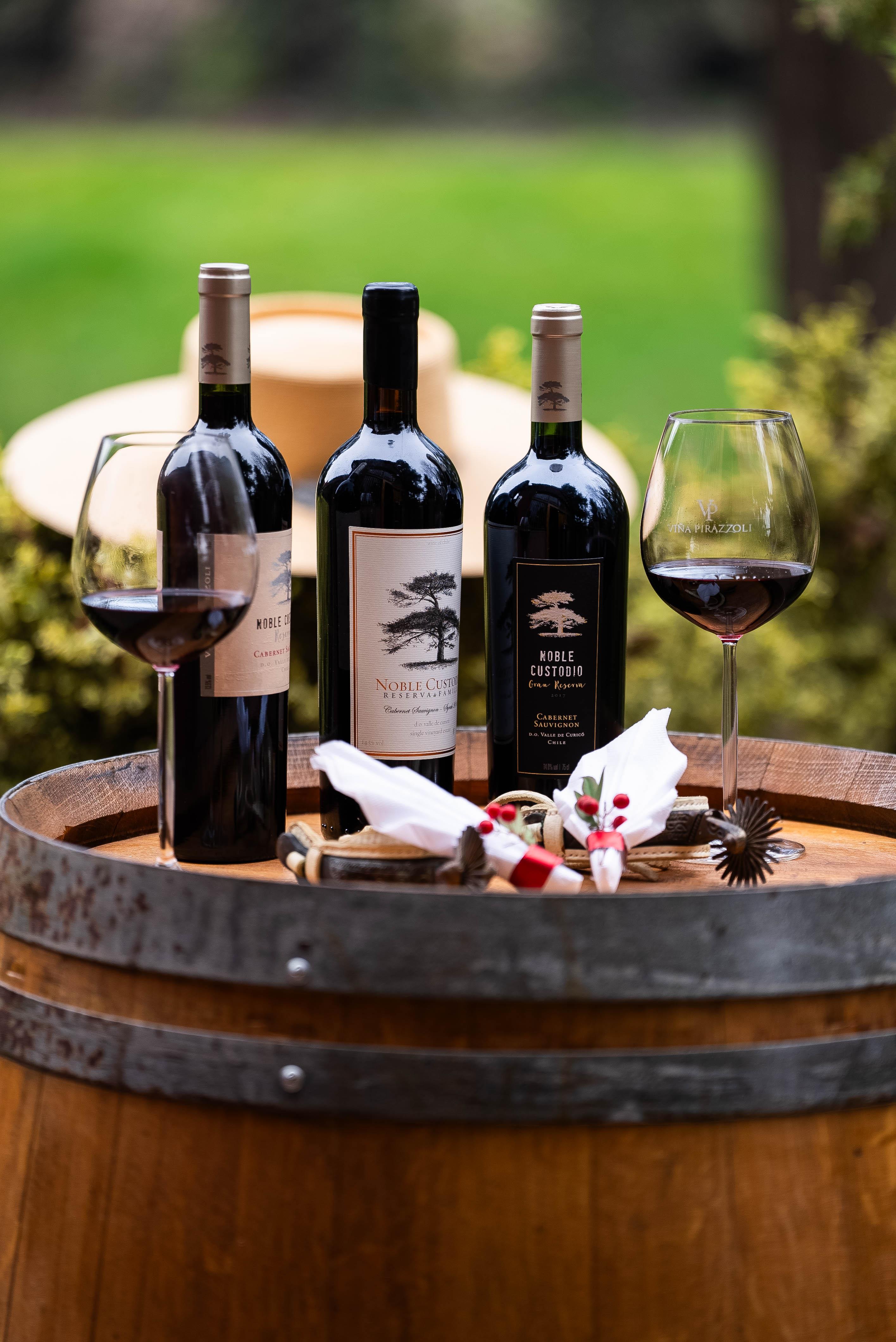 Vinos Tintos