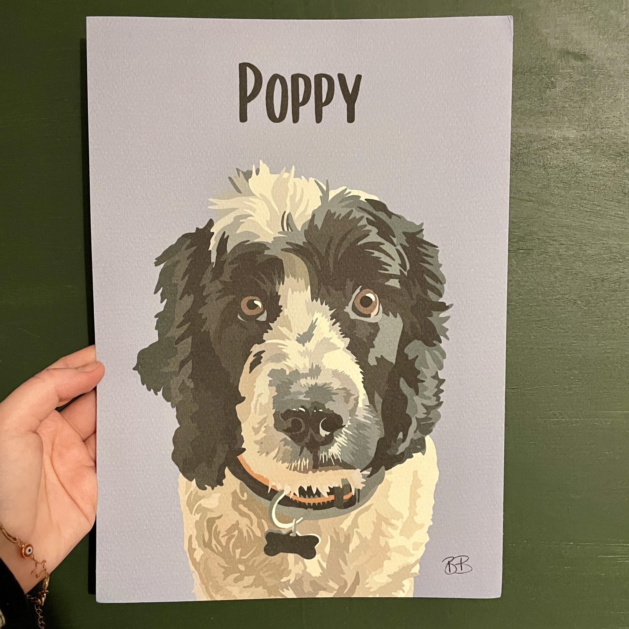 Pet Portraits