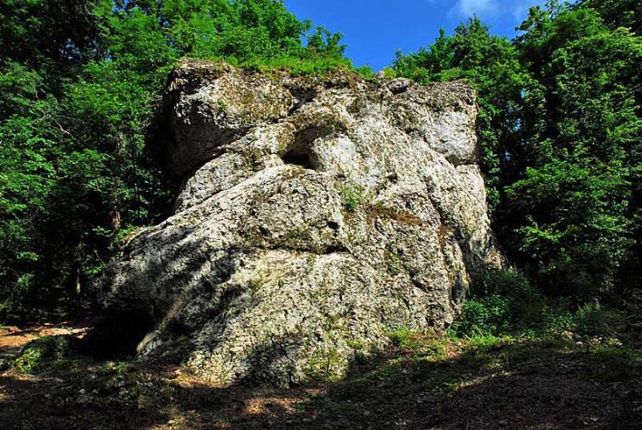 Section image