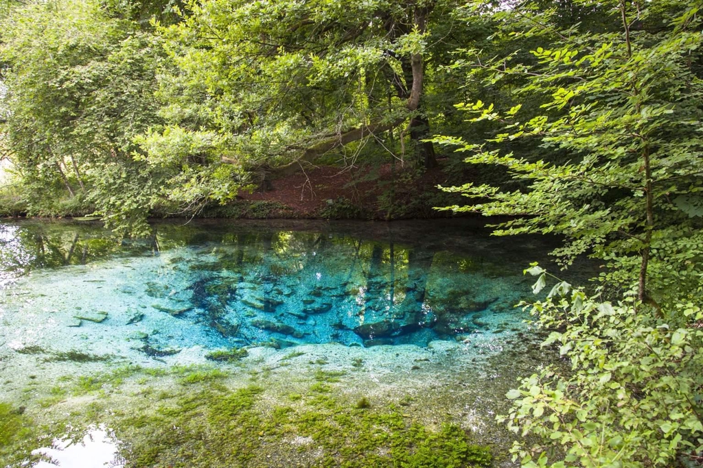 banner_image