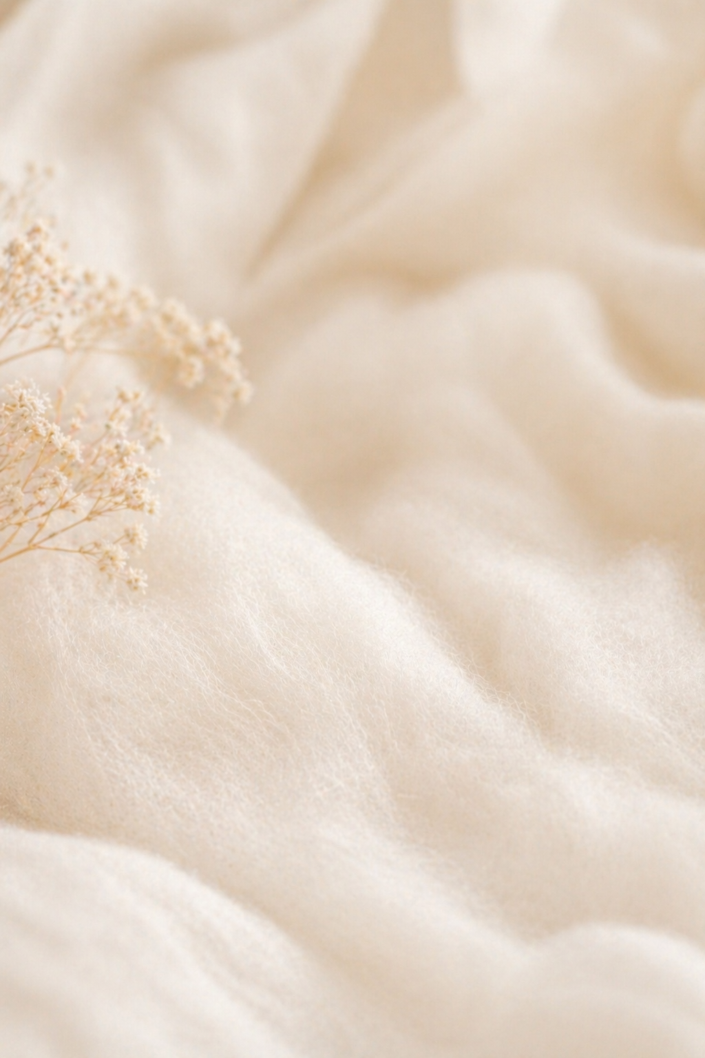 banner_image