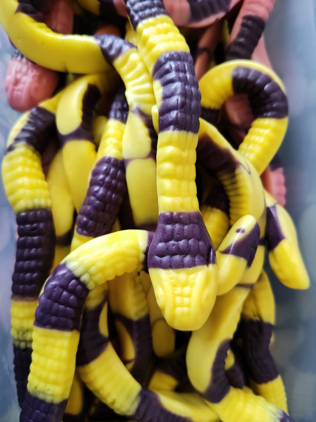 🐍 Serpent Géant Vidal – La Gâterie XXL qui Ensorcelle !
"Un format géant, des couleurs vibrantes et une attaque acidulée... Oserez-vous dompter ce serpent ultra-gourmand ?"