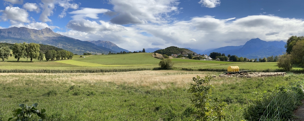 banner_image