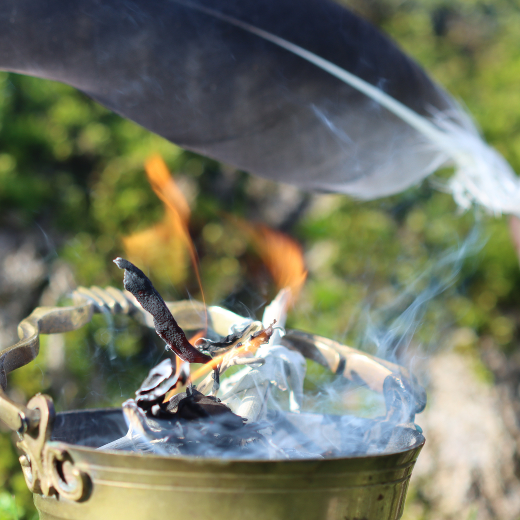 La fumigation est l’un des plus anciens gestes de l’humanité. Depuis la préhistoire et à travers les peuples nomades, brûler les plantes a toujours été une manière sacrée de purifier, d’honorer et de se relier aux forces invisibles.

Chez Ozlistik, la fumigation dépasse le simple rituel : elle permet de franchir la barrière du mental pour laisser l’intelligence des plantes agir directement au cœur de nos cellules.