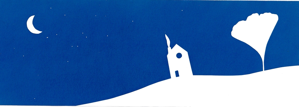 Image représentant une fleur sur fond cyan, inspiré de la couverture du recueil de poésie Accueillir le trop grand, de Anne Monneau.