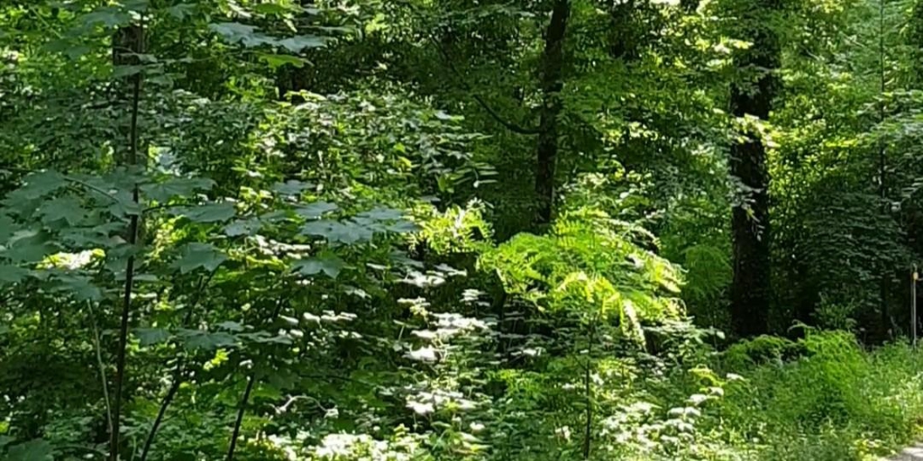 Bijoux faune et flore