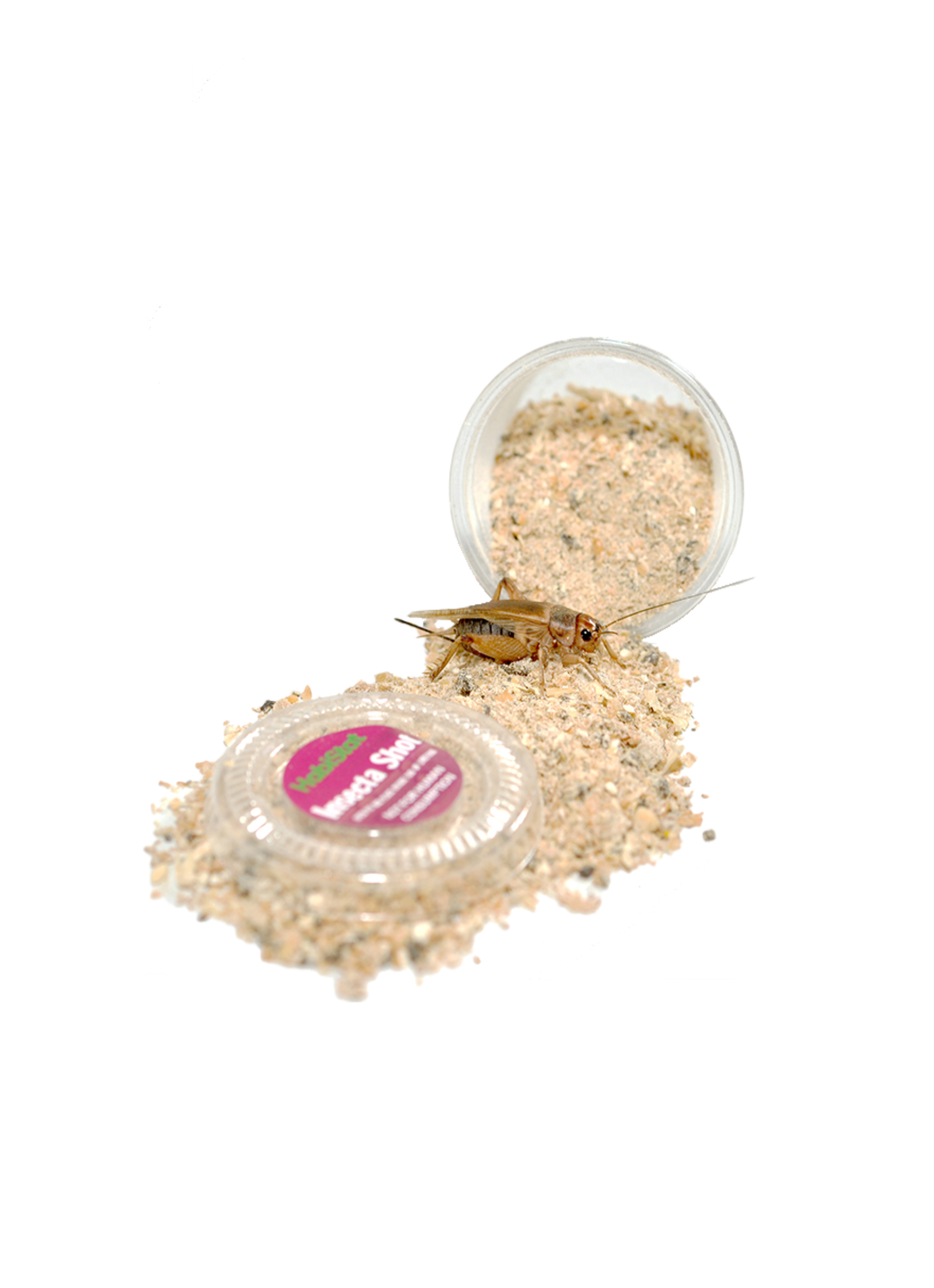 complément alimentaire reptiles calcium