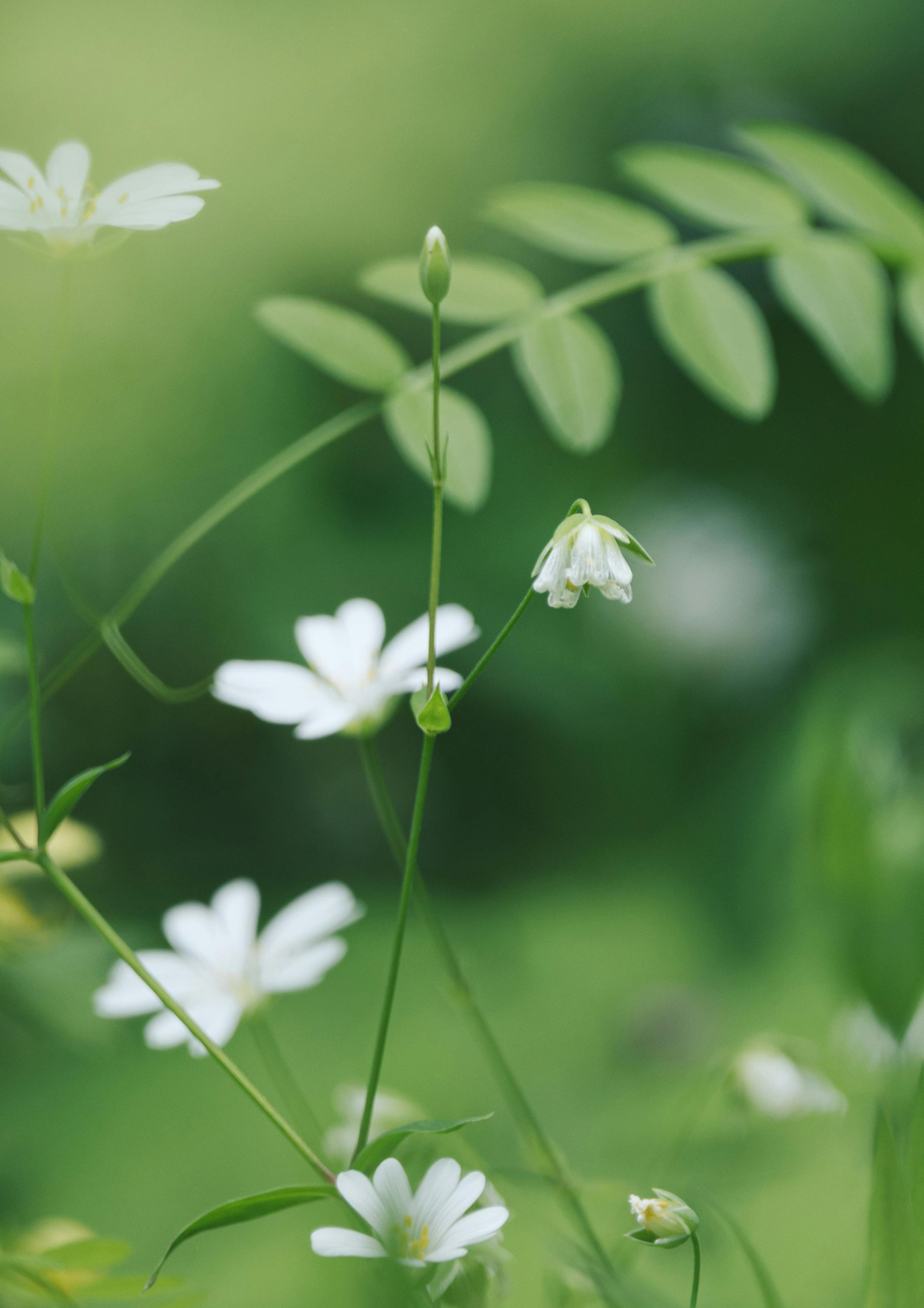 banner_image