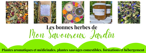 Plantes aromatiques et médicinales, plantes sauvages comestibles, formations et hébergement