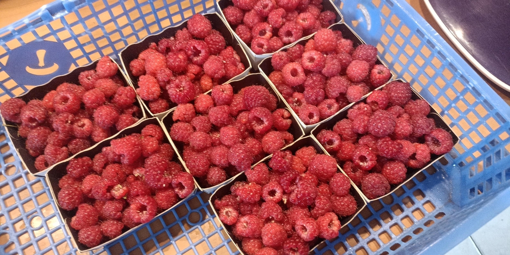 La Framboiserie Bégard est une exploitation artisanale située à Bégard, en Bretagne, spécialisée dans la culture de framboises et de plantes médicinales. Nous avons fait le choix d’une agriculture respectueuse du vivant, en cultivant nos fruits et plantes sur sol vivant, sans mécanisation ni traitements chimiques. Cette approche permet d’obtenir des produits d’une qualité exceptionnelle, riches en goût et en bienfaits pour la santé.
