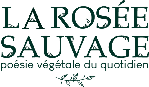  ateliers l micro-paysagisme l scénographie végétale l direction artistique