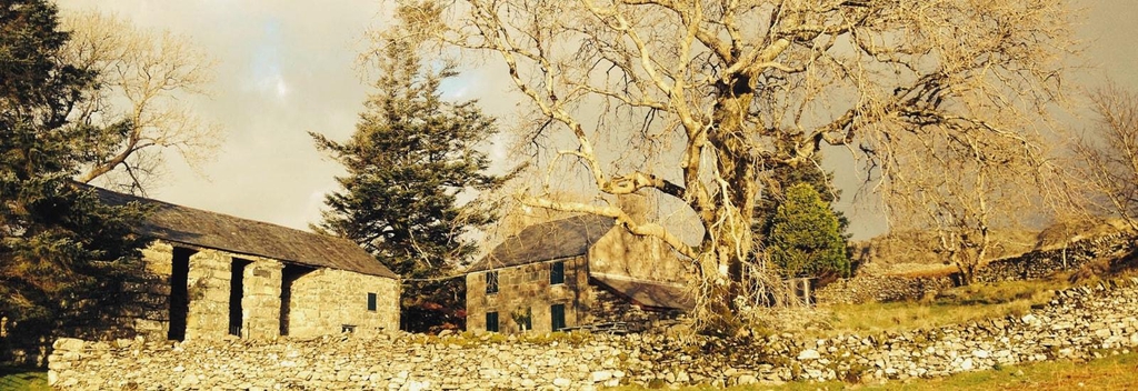 Payments page for Pant Ifan