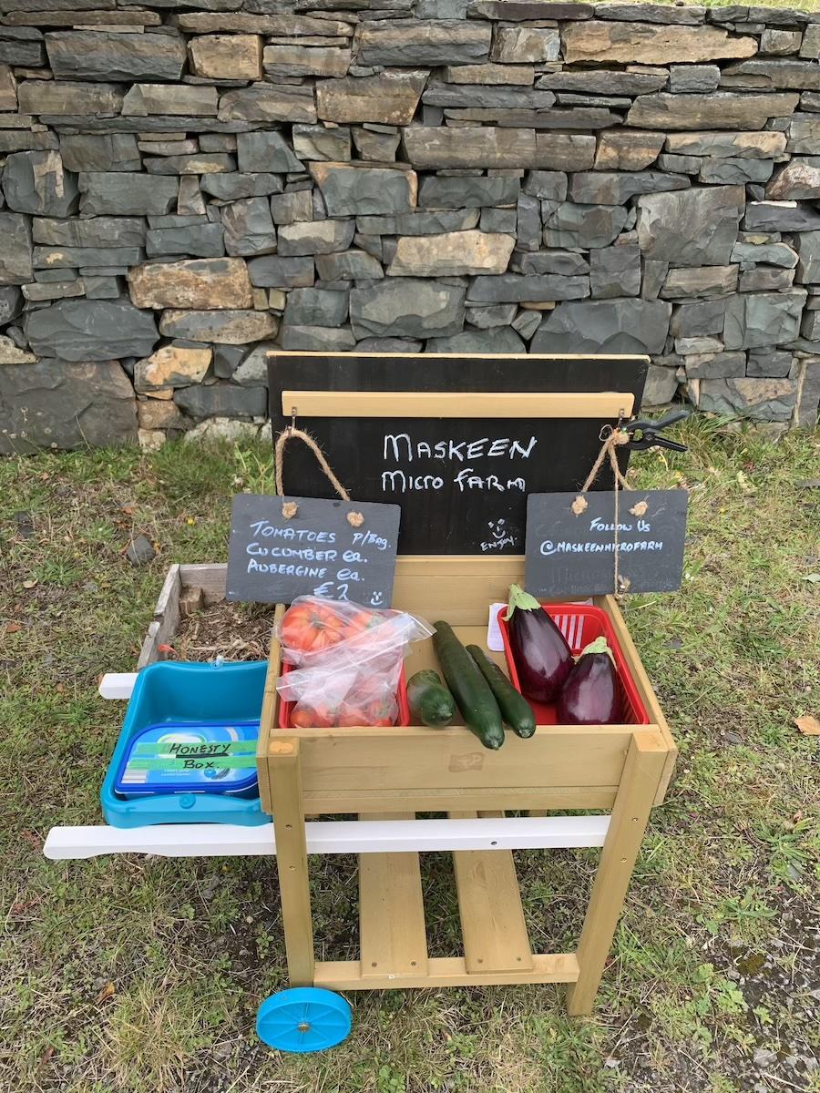 Information about when, where and how the Maskeen Micro Farm story began in the West of Ireland.