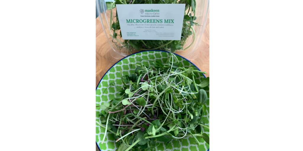 Fresh, Nutritious, Locally Grown Microgreens in the West of Ireland