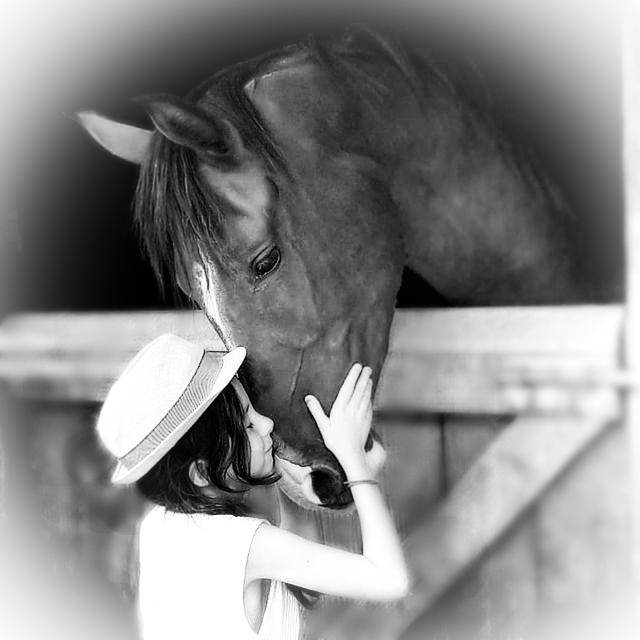 product_list_image_cover