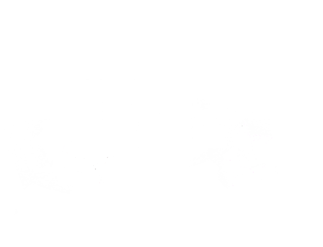 store_logo