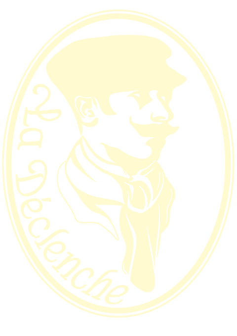 store_logo