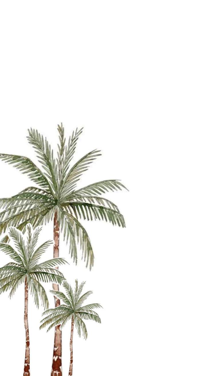 product_list_image_cover