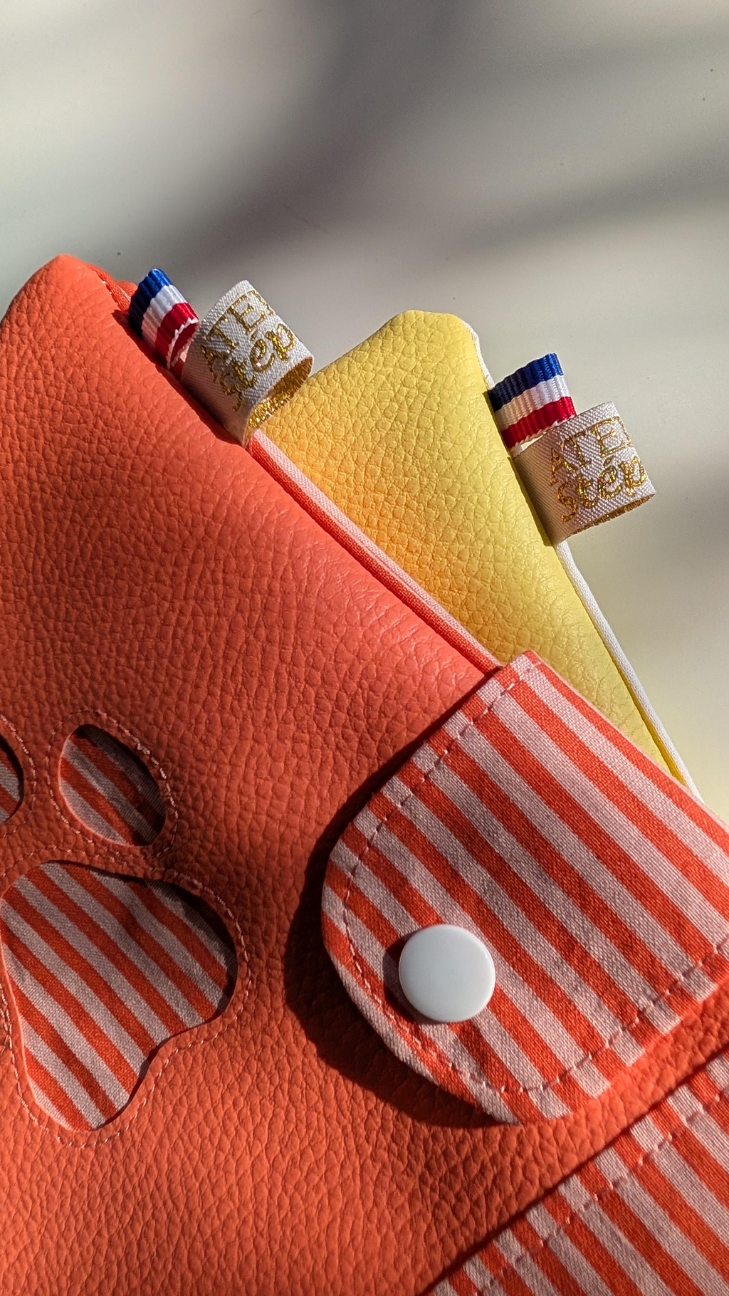 Protège carnet de santé pour chien et chat