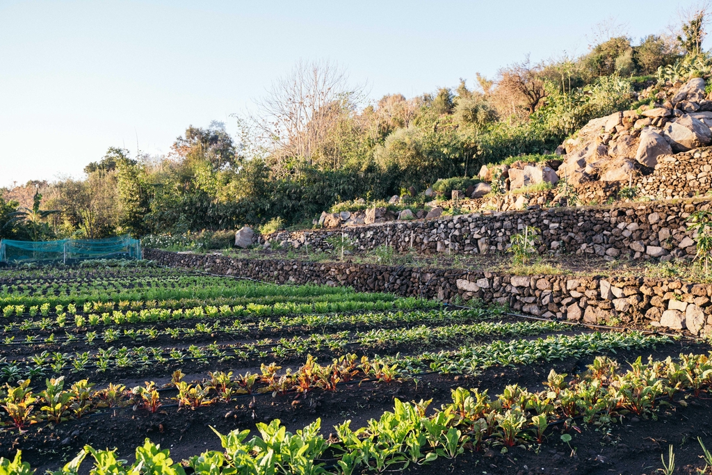 I Prodotti dell'Orto