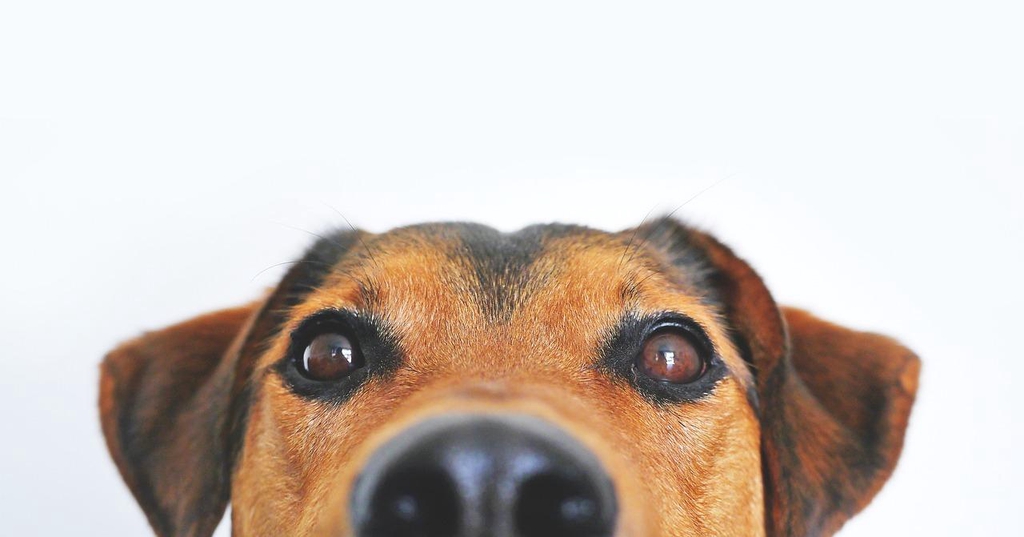 banner_image