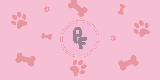 Colliers et laisses en Biothane pour chiens