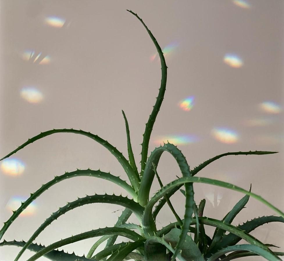 🌈 Des bijoux pour votre maison
fabriqués à la main (et avec Amour)
sur le Bassin d’Arcachon! 🌈