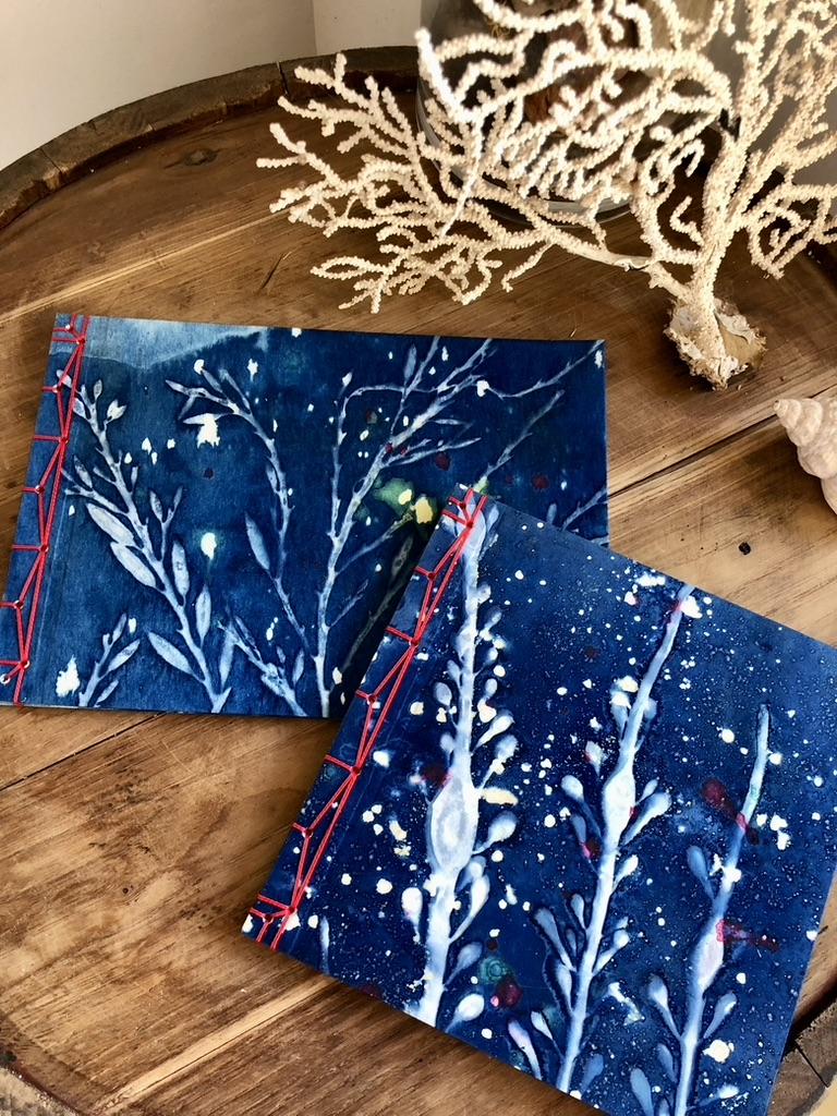 Carnets reliure japonnaise, interieur papier blanc ou ivoire 120gr, cyanotype empreinte d'algues