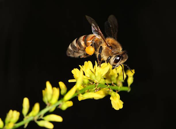 product_list_image_cover