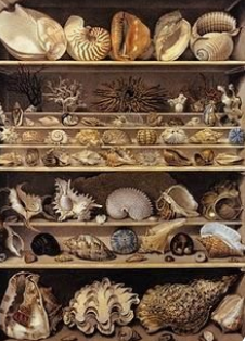 product_list_image_cover