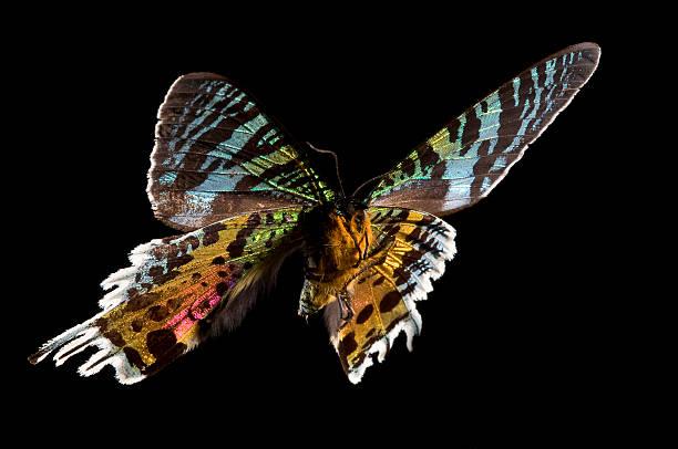 product_list_image_cover