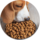 ARTICOLI PER ANIMALI