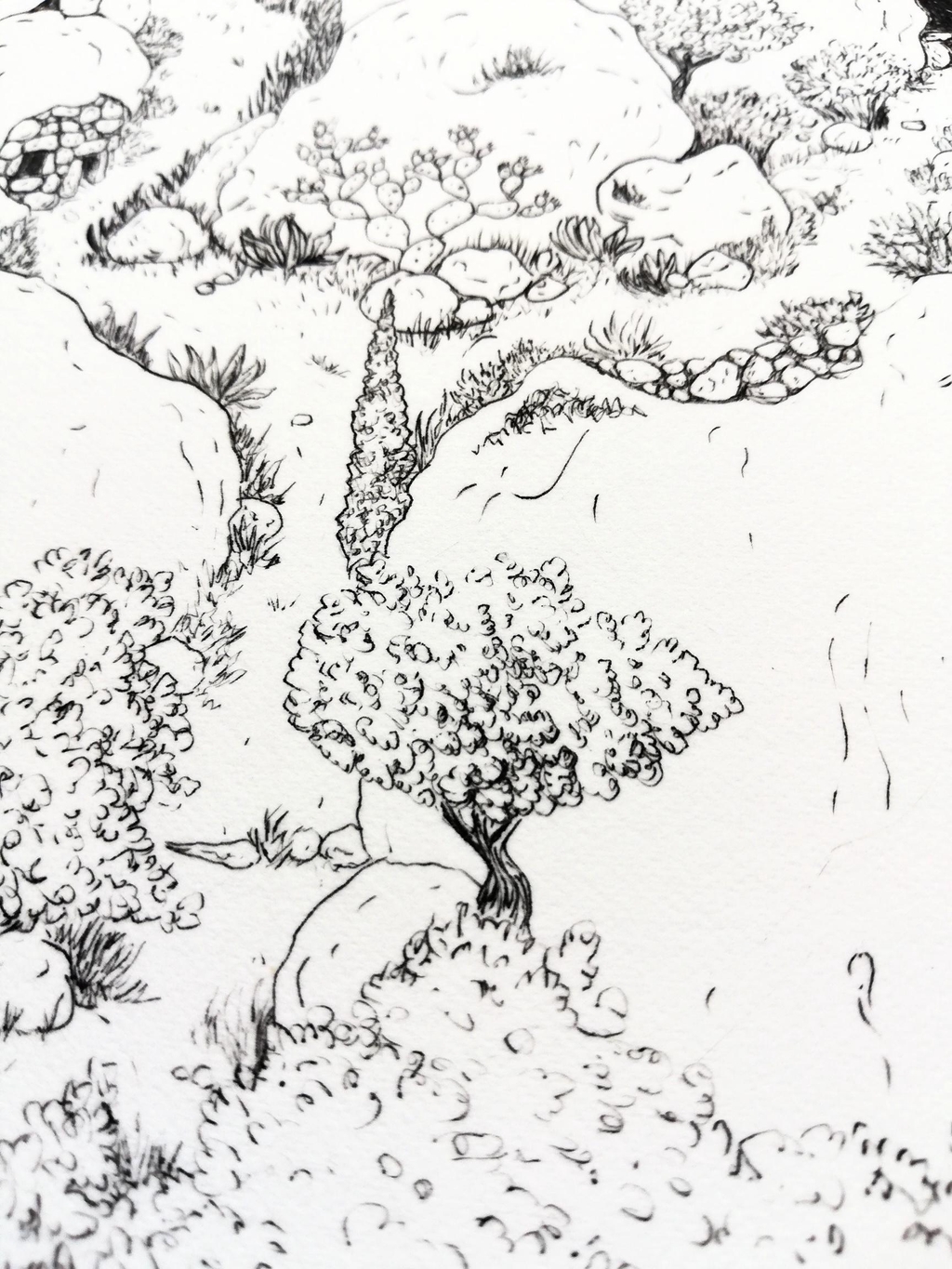 PakitAtelier - estampes originales
Gravures en taille douce et à l’eau-forte rehaussées