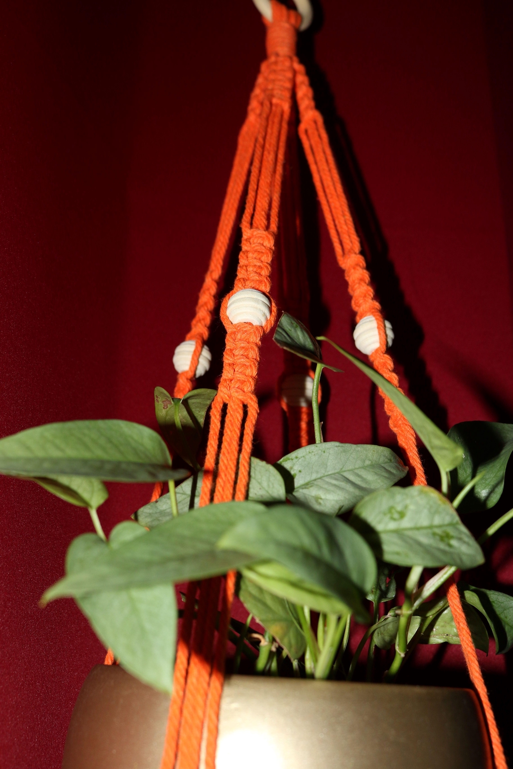 banner_image