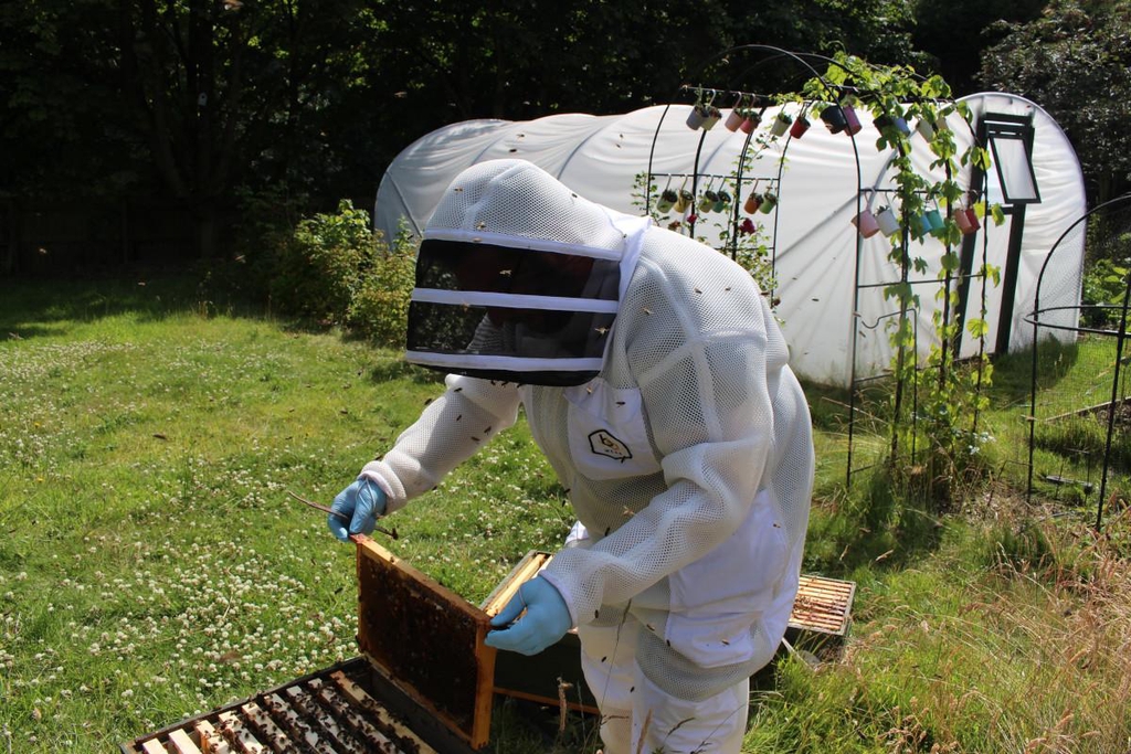 Simon inspecting his bees