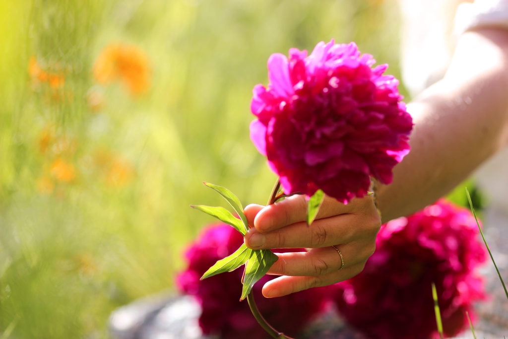 banner_image