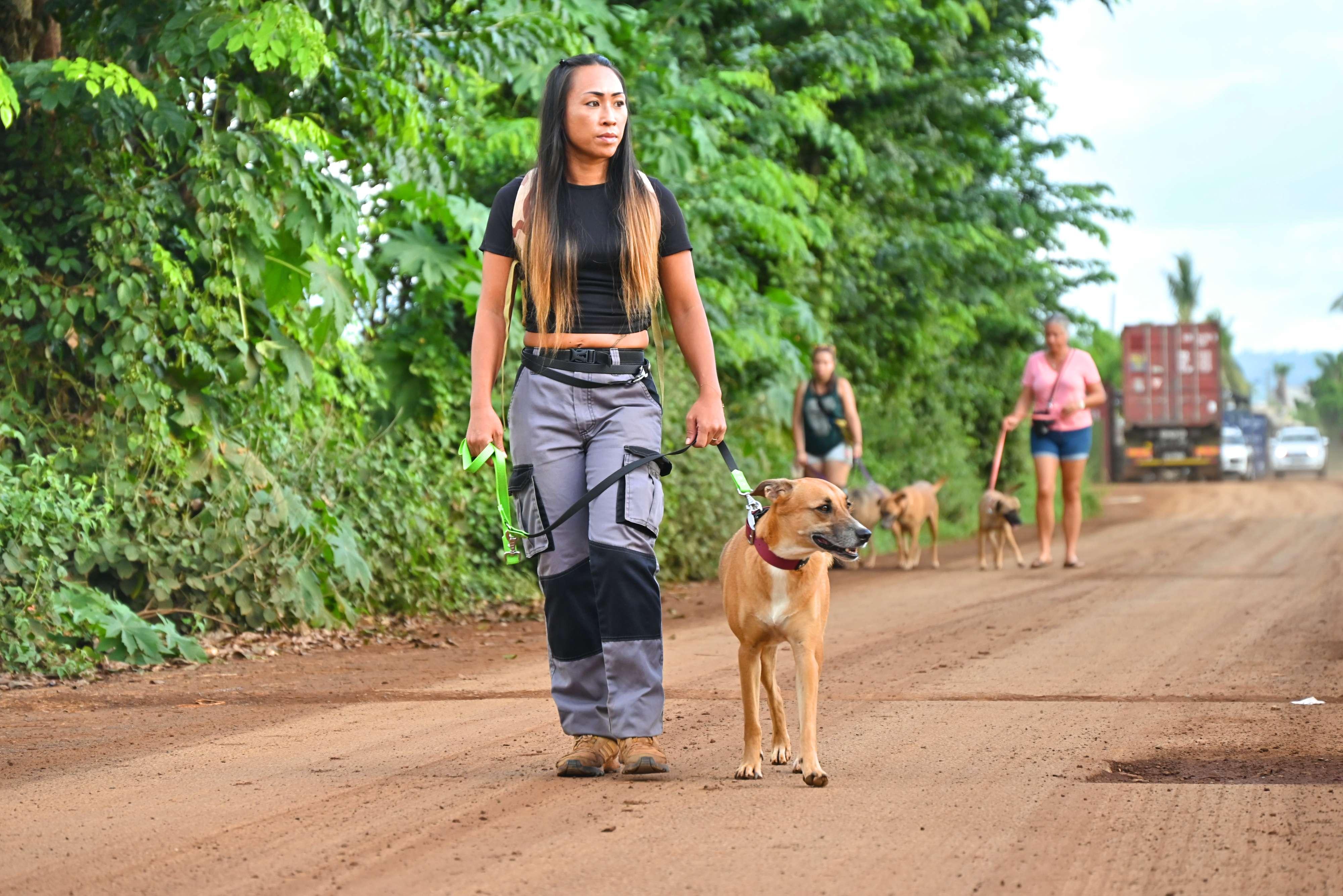 Éducateur canin comportementaliste Toulouse l'Union et les Alentours, éducation, rééducation canine