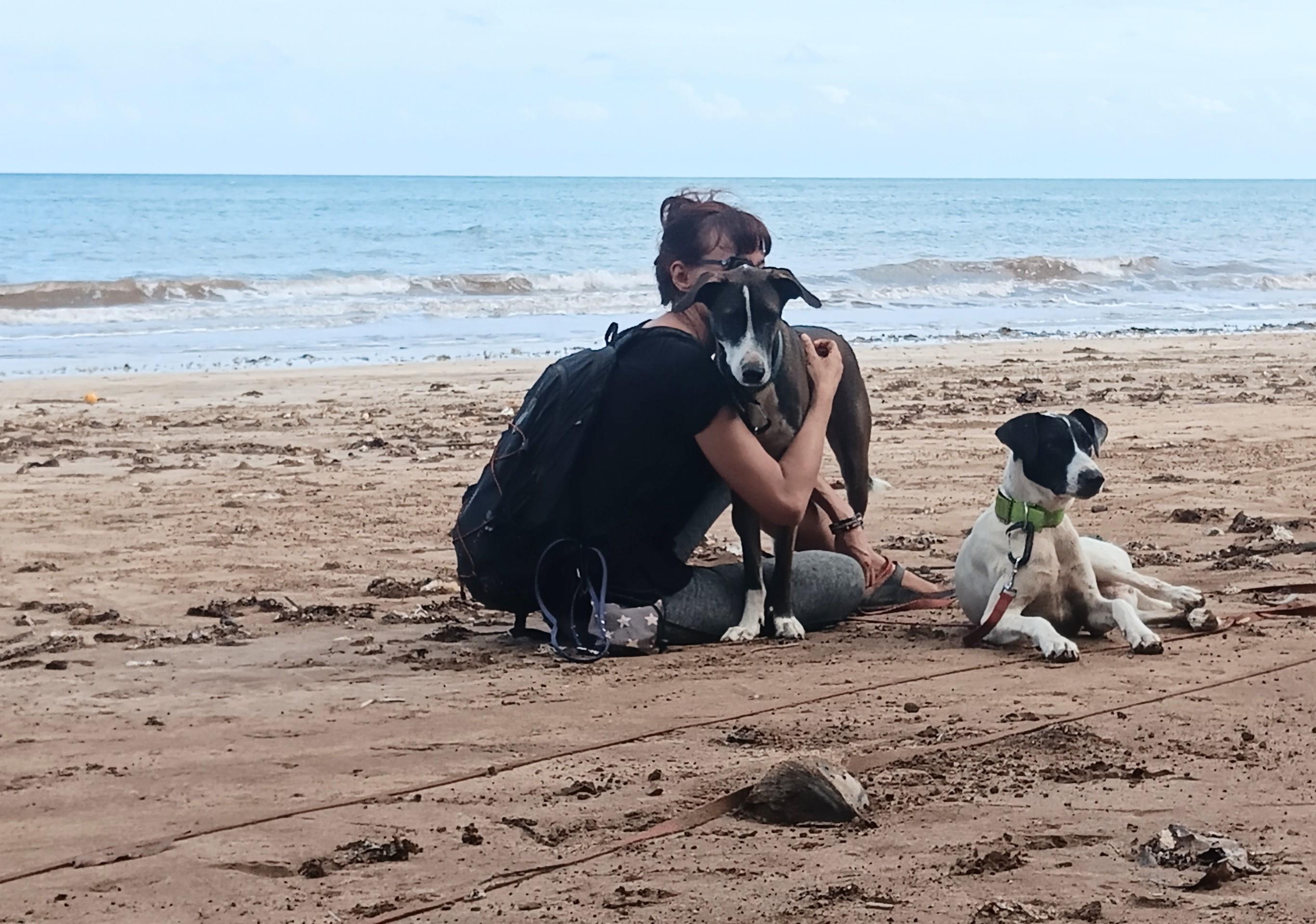 J'adopte mon chien au refuge