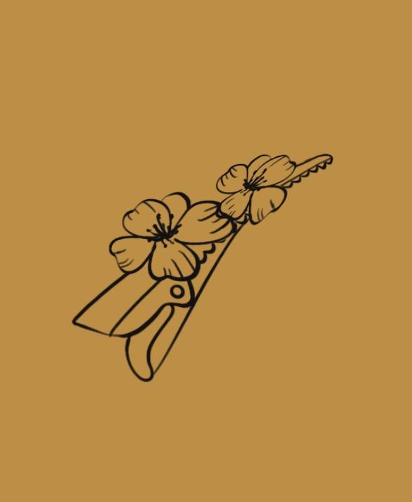 Barrette