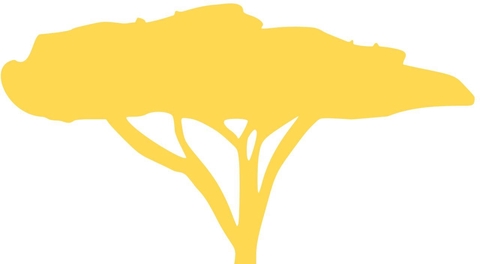 The Beatrice Project Store