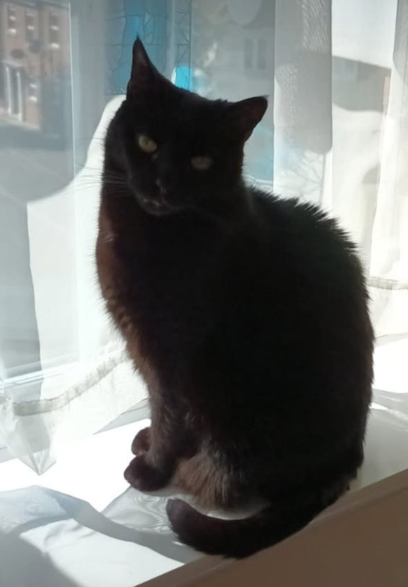 banner_image