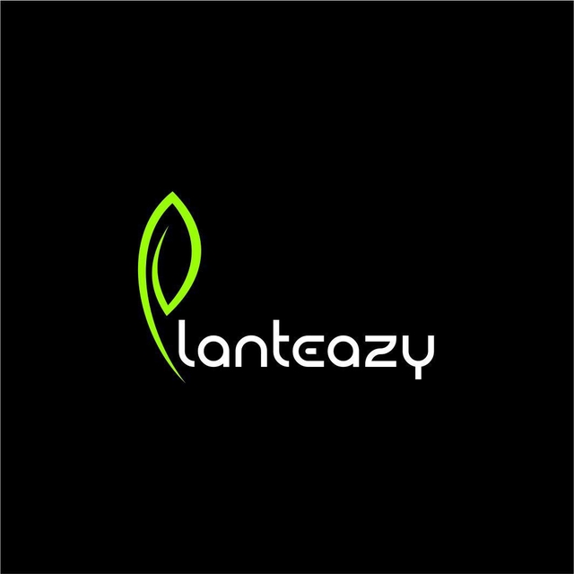 store_logo