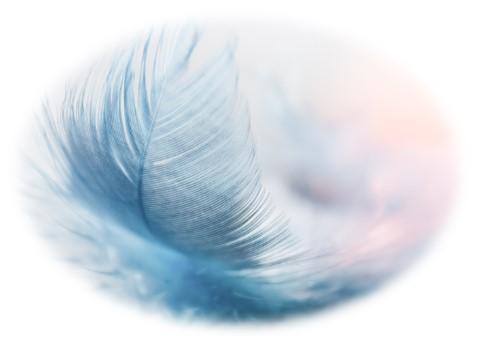 Artisane de Lumière
Artiste peintre et conseillère bien-être
Illuminer votre intérieur !!!