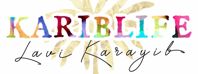 Logo de la boutique Kariblife représentant riche en couleur, le palmier en arrière plan rappelle un feu d'artifice 